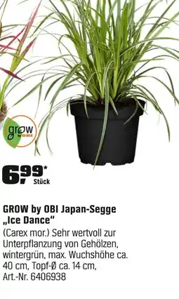 OBI Grow by obi japan-segge 'ice dance' Angebot