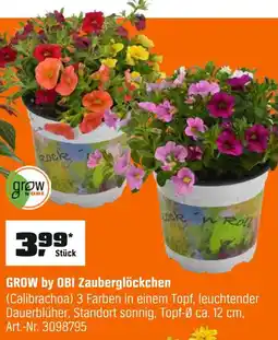 OBI Grow by obi zauberglöckchen Angebot