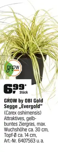 OBI Grow by obi gold segge 'evergold' Angebot