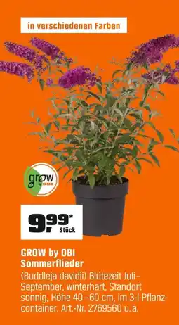 OBI Grow by obi sommerflieder Angebot
