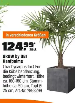 OBI Grow by obi hanfpalme Angebot