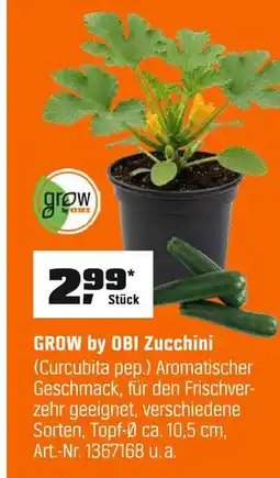 OBI Grow by obi zucchini Angebot