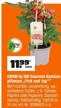 OBI Grow by obi gourmet-gemüsepflanzen 'pick and joy' Angebot