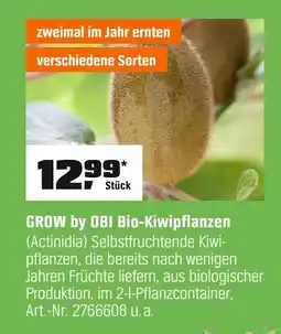 OBI Grow by obi bio-kiwipflanzen Angebot