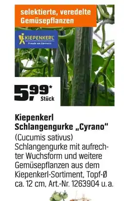 OBI Kiepenkerl schlangengurke 'cyrano' Angebot