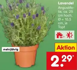 Netto Marken-Discount Lavendel Angebot