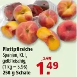 Multi Markt Plattpfirsiche Angebot