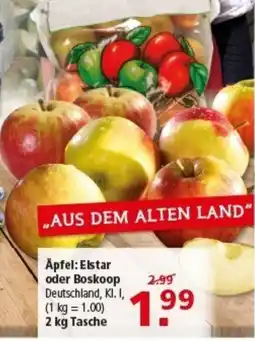 Multi Markt Äpfel: Elstar oder Boskoop Angebot
