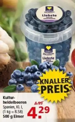 Multi Markt Kulturheidelbeeren Angebot