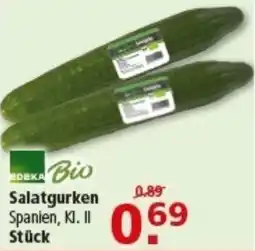 Multi Markt Salatgurken Angebot
