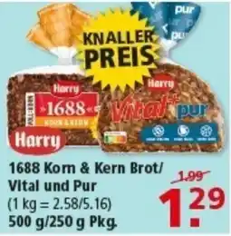 Multi Markt 1688 Korn & Kern Brot/ Vital und Pur Angebot