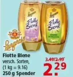 Multi Markt Flotte Biene Angebot