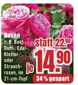 B1 Discount Baumarkt Rosen Angebot