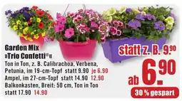 B1 Discount Baumarkt Garden Mix "Trio Confetti" Angebot