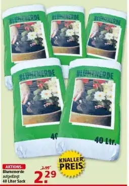 Multi Markt Blumenerde Angebot