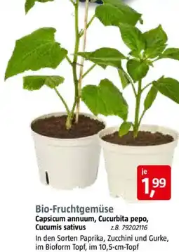 Bauhaus Bio-Fruchtgemüse Angebot