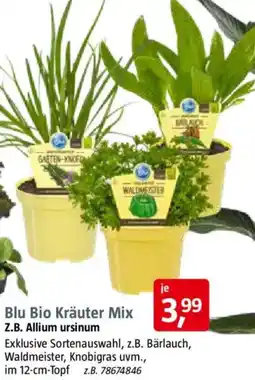 Bauhaus Blu Bio Kräuter Mix Angebot