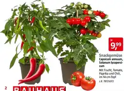 Bauhaus Snackgemüse Angebot