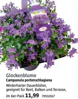 Bauhaus Glockenblume Angebot