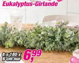 Posten Börse Eukalyptus-Girlande Angebot
