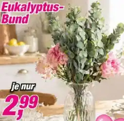 Posten Börse Eukalyptus Bund Angebot