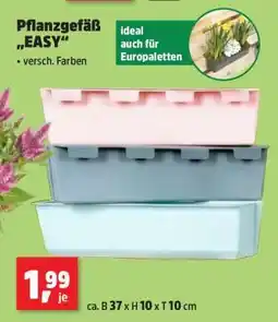 Thomas Philipps Pflanzgefäß „EASY“ Angebot