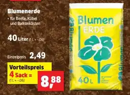 Thomas Philipps Blumenerde Angebot