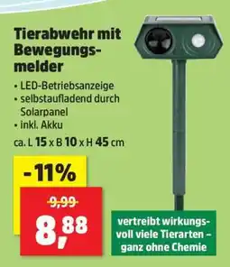Thomas Philipps Tierabwehr mit Bewegungsmelder Angebot