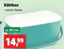 Thomas Philipps Kühlbox Angebot