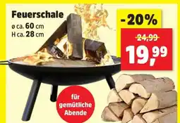 Thomas Philipps Feuerschale Angebot