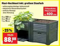 Thomas Philipps Maxi-Hochbeet inkl. großem Staufach Angebot