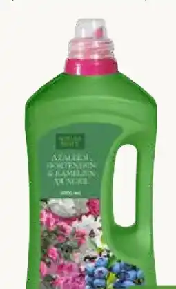 Pflanzen Kölle Kölle's Beste Azaleen-, Hortensien- & Kamelien-Dünger Angebot