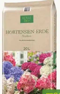 Pflanzen Kölle Kölle's Bio Hortensien-Erde-Torffrei Angebot