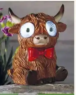 Pflanzen Kölle Solar Figur Highland Rind Angebot