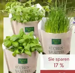 Pflanzen Kölle Kölle's Bio Küchenkräuter Angebot
