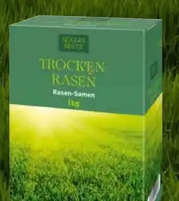 Pflanzen Kölle Kölle's Beste Trocken-Rasen Angebot