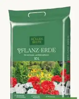 Pflanzen Kölle Kölle's Beste Pflanz-Erde Angebot