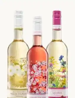 Pflanzen Kölle Wein Blumenflasche Angebot