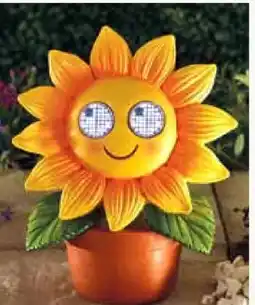 Pflanzen Kölle Solar Figur Sonnenblume Angebot
