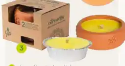 Pflanzen Kölle Citronella Gartenkerze Angebot