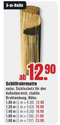 B1 Discount Baumarkt Schilfrohrmatte Angebot