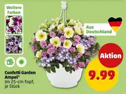 PENNY Confetti garden ampel Angebot