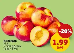 PENNY Nektarinen Angebot