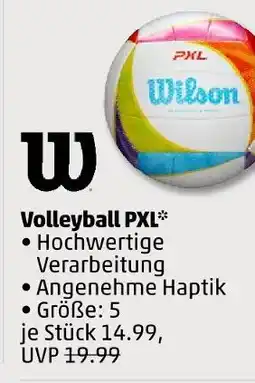 PENNY Wilson volleyball pxl Angebot