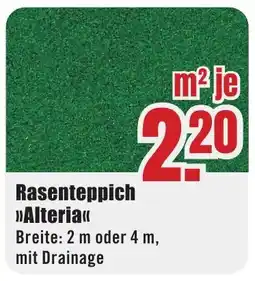 B1 Discount Baumarkt Rasenteppich >>Alteria<< Angebot