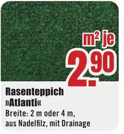B1 Discount Baumarkt Rasenteppich >>Atlanti«< Angebot