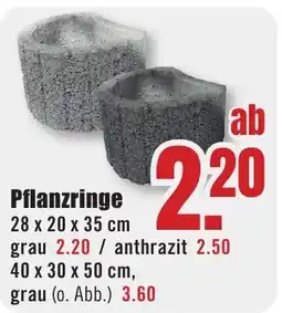 B1 Discount Baumarkt Pflanzringe Angebot