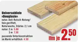 B1 Discount Baumarkt Universaldiele >>Douglasie<< Angebot