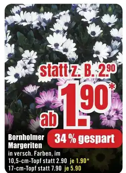 B1 Discount Baumarkt Bornholmer Margeriten Angebot