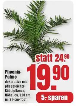 B1 Discount Baumarkt Phoenix- Palme Angebot